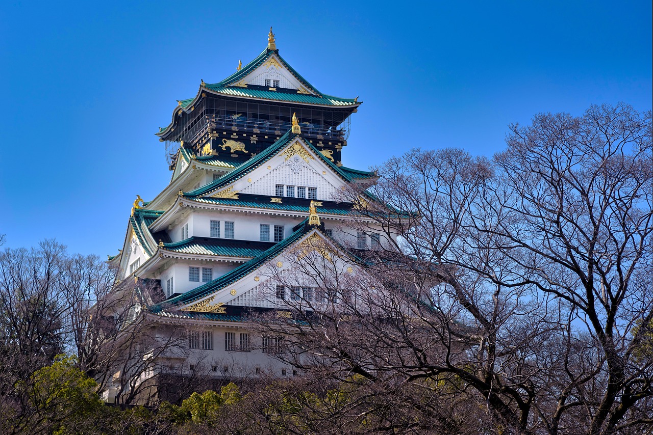 Semi-close image of Osaka Castle's main tower